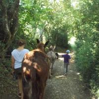 balade pédagogie âne enfants 17