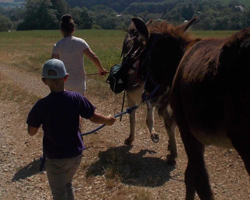 balade pédagogie âne enfants 4