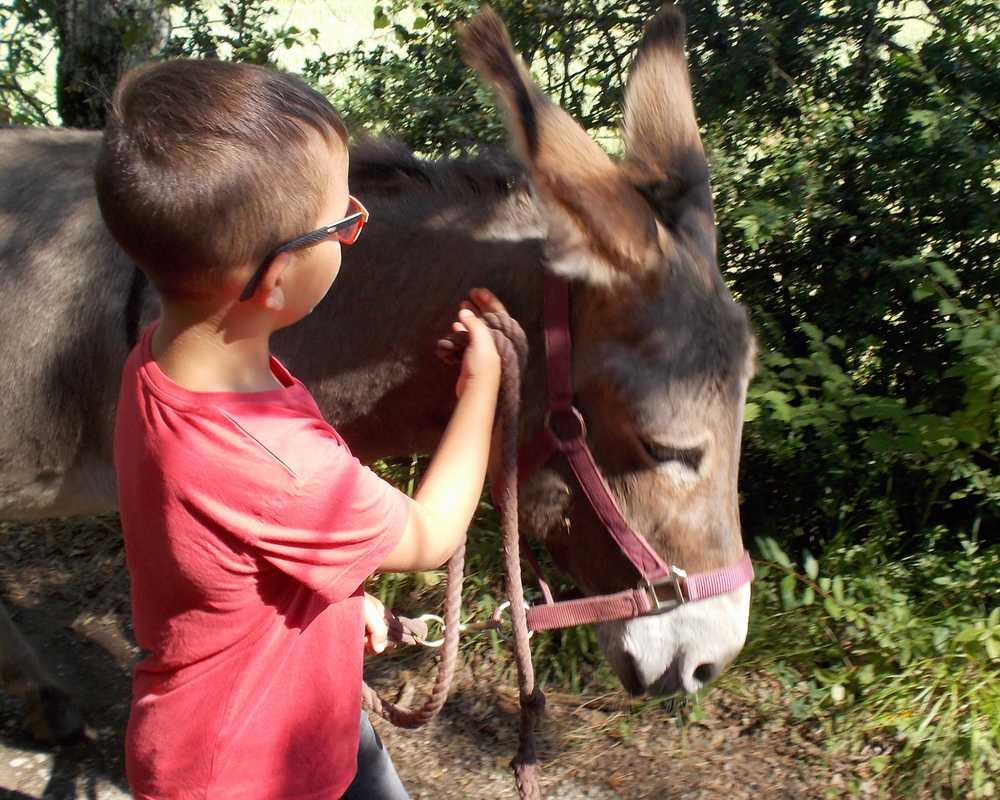 balade pédagogie âne enfants 41